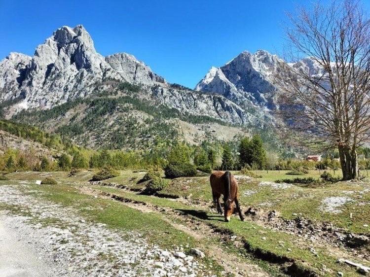 Bed and Breakfast Bujtina Arlindi Valbone Zewnętrze zdjęcie
