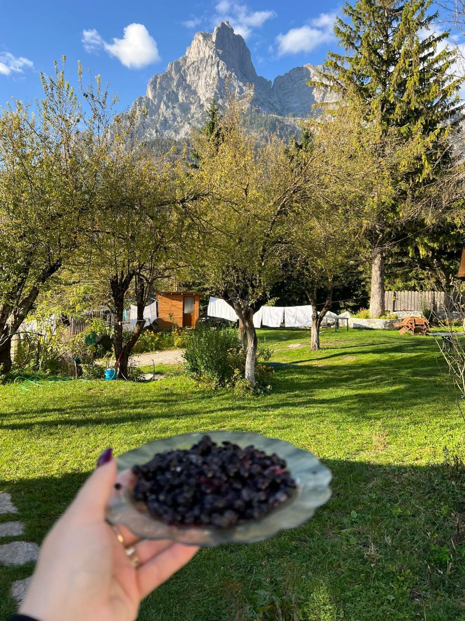 Bed and Breakfast Bujtina Arlindi Valbone Zewnętrze zdjęcie